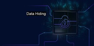 data+hiding-2153595239.jpg