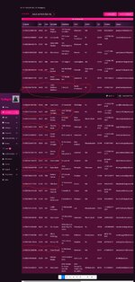 Screenshot_17-7-2025_154637_torbag.io.jpeg