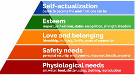 Screenshot 2026-01-18 083723.png