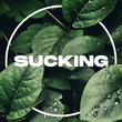 Sucking