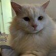 mrtusex1