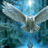 XxNightOwlxX