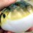 Puffer