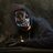 sizzledaghost88