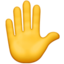 ✋